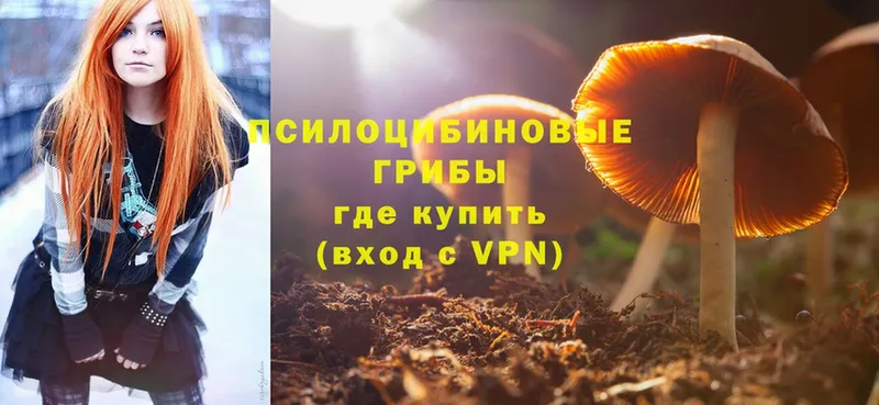 Галлюциногенные грибы Magic Shrooms Усолье